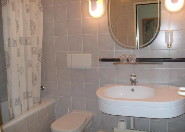 Hotel De L'ecu Vaudois 3*